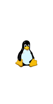 pingouin